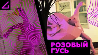 Розовый гусь смотрит в окно хочет понять почему так темно... | Розовый,  Гуам, Окно