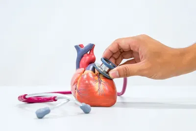 Вот такой рубец!»: что нужно знать об инфаркте миокарда?