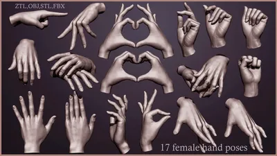 Файл 3D 17 Позы для женских рук・Шаблон для 3D-печати для загрузки・Cults