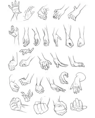 Рисунок руки разные ракурсы - 65 фото
