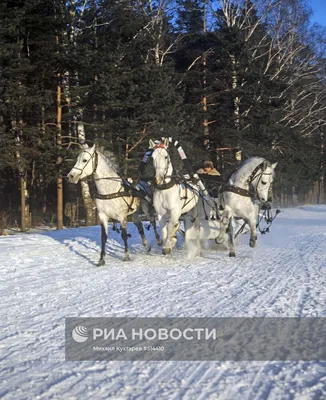 Скульптура «Тройка». Сергиев-Посад, нач. XX в. Дерево, резьба, роспись :  Егорьевский историко-художественный музей