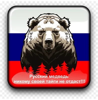 русский медведь 🐻🇷🇺💙♥️ | Instagram