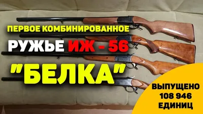 Белка из Сибири. : Нарезное оружие : Guns.ru Talks