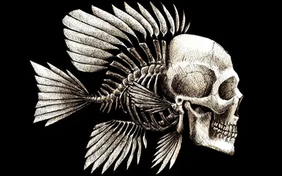 Скелет рыбы с черепом человека прикольная картинка рисунок, Скелет рыбы с  черепом человека смешная картинка прикольное фото, смешные фото прикольные  фотографии картинки животные картинка изображение юмор wallpaper