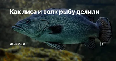 Punto Crudo - Кто такой сибас или морской волк? Мы все... | Facebook