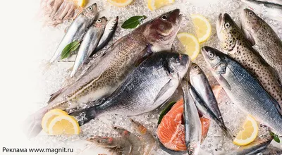 Рыба мечты: как в «Магните следят за качеством и свежестью рыбной продукции  — читать на Gastronom.ru