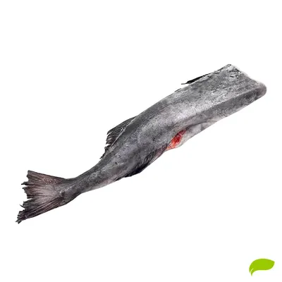 Черная треска (угольная рыба) свежемороженая ПБГ купить с доставкой по  Москве в интернет-магазине Экорыба