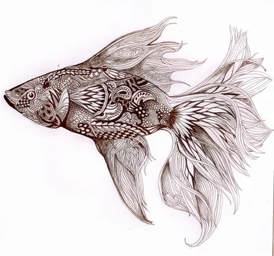 Рыба в графике рисунок - 68 фото