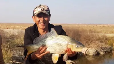Рыболовство в Узбекистане | Uzbekistan Travel