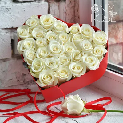 Розы, rose, flowers | Белые розы, Розы, Фотография цветов