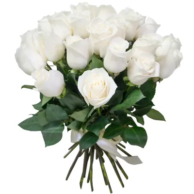 15 белых роз 50 см. - купить с доставкой в Омске - Лаванда