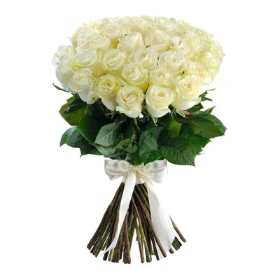 Букет 25 длинных белых роз | купить недорого | доставка по Москве и области