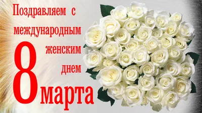 Белые розы\" на рояле Поздравление с праздником 8 Марта милых дам! - YouTube