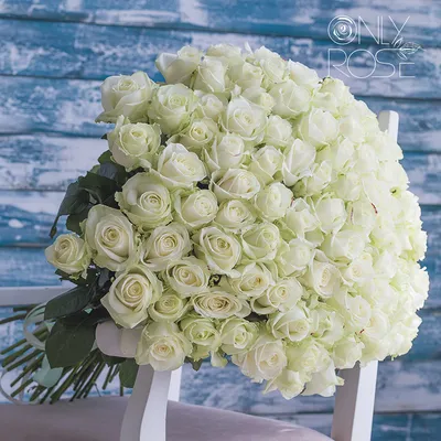 Букет из 25 белых роз и эвкалипта «Крем-брюле» - интернет-магазин  «Funburg.ru»