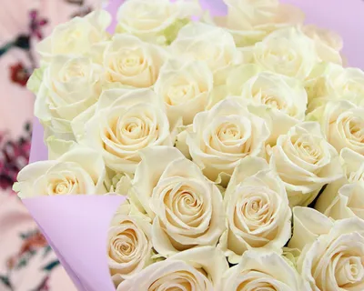 25 белых длинных роз Мондиаль | купить недорого | доставка по Москве и  области | Roza4u.ru