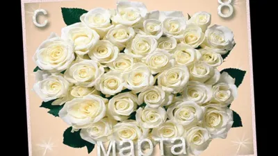 С 8 марта белые розы фотографии