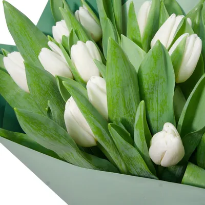 Белые тюльпаны в коробке - 51 шт. за 10 490 руб. | Бесплатная доставка  цветов по Москве
