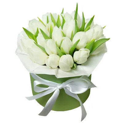 Картинки Белый Тюльпаны Цветы 3464x2244