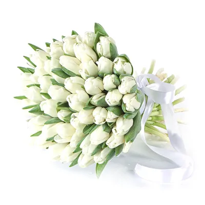 Букет из 25 белых тюльпанов купить в Санкт-Петербурге | Интернет-магазин  АртФлора