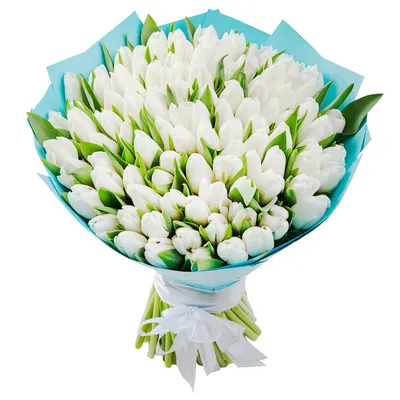 Белые тюльпаны возглавили рейтинг спроса у минчан перед 8 Марта