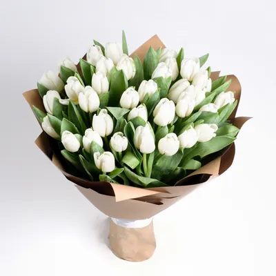 Купить 25 белых тюльпанов ( Цена действительна на предзаказ к 8 марта) с  доставкой по Минску