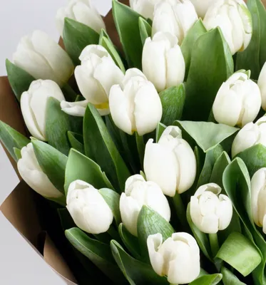 Кейт: белые тюльпаны в шляпной коробке по цене 6995 ₽ - купить в RoseMarkt  с доставкой по Санкт-Петербургу