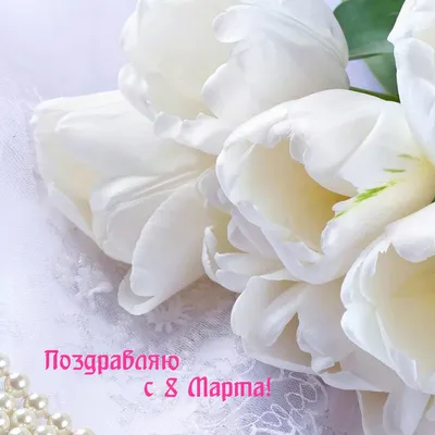 Flowers_karpinskaia - Почему тюльпаны дарят на 8 марта? ⠀ 8 марта —  праздник весны и красоты, а что лучше всего отражает его суть? Конечно  цветы. ⠀ Но почему именно тюльпаны стали символом