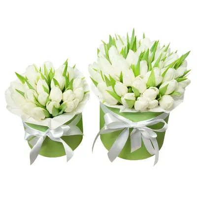 51 белый тюльпан | купить недорого | доставка по Москве и области