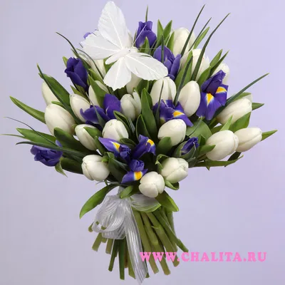 Белые тюльпаны купить в Краснодаре с доставкой