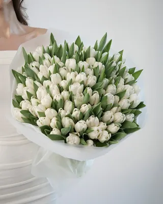 Белые тюльпаны - купить в Москве | Flowerna