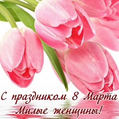 С 8 марта, наши Дорогие Девчата!))))) — DRIVE2