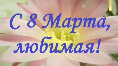 Поздравляем дорогих женщин с 8 марта! | ИВМиМГ СО РАН