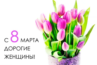 C 8 марта дорогие женщины! | Санкт-Петербургский научно-исследовательский  институт лесного хозяйства