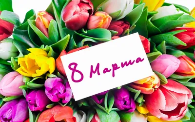 Дорогие женщины с 8 Марта! — НАУЧНО-ТЕХНИЧЕСКОЕ ОБЩЕСТВО АНТОК