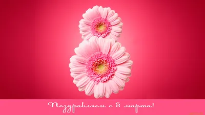 Влиятельные женщины Одессы хотят 8 марта каждый день, а всем подаркам  предпочитают цветы