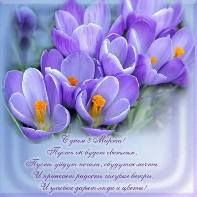 Красивые пожелания на 8 марта крестнице - лучшая подборка открыток в  разделе: С 8 марта на npf-rpf.ru
