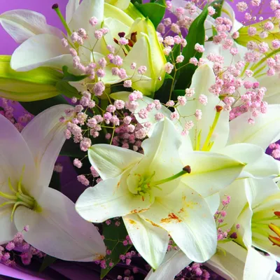 Лилии для любимой - Доставкой цветов в Москве! 7351 товаров! Цены от 487  руб. Цветы Тут
