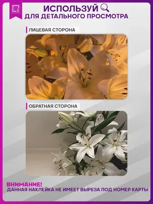 Лилии в букете от 9 шт. за 9 190 руб. | Бесплатная доставка цветов по Москве