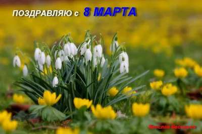 С 8 марта настя фотографии