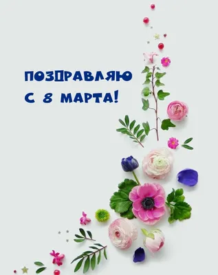 https://kropyvnytskyi.internet-bilet.ua/ru/nataliya-mogilevskaya