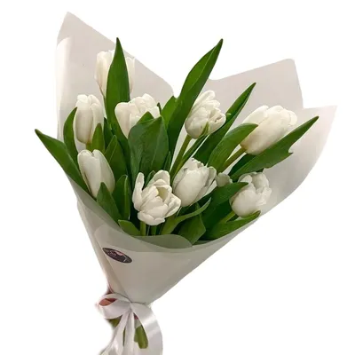 Красивый букет белых тюльпанов на 8 марта - купить в Москве, цены на  Мегамаркет