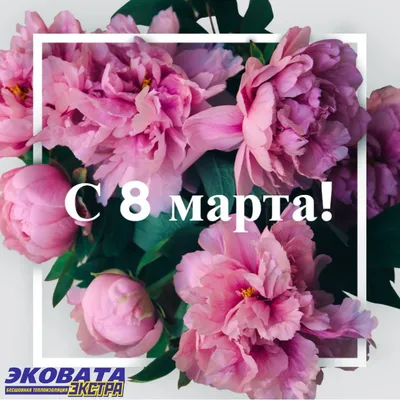 Поздравление с 8 марта! Открытки, картинки! Открытка на 8 марта с красным  сердечком из роз... Страница 4 | Открытки, Розы, Праздничные открытки