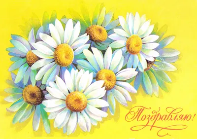 Цветы открытки, поздравления на cards.tochka.net