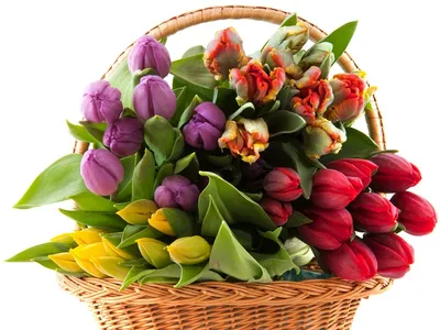 Тюльпаны, ромашки, лаванда и прочие цветы в маникюре к 8 марта | Отзывы  покупателей | Косметиста