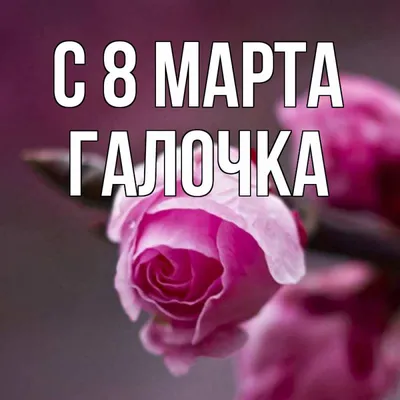 Капкейки на 8 марта с именами (104) - купить на заказ с фото в Москве
