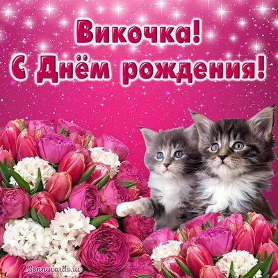 Открытка с котятами и цветами Вике на День рождения