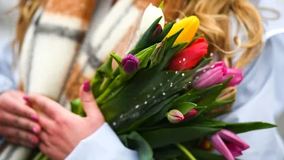 VK Реклама в темно-фиолетовом дизайне с тюльпанами, поздравление с 8 марта  - шаблон для скачивания | Flyvi