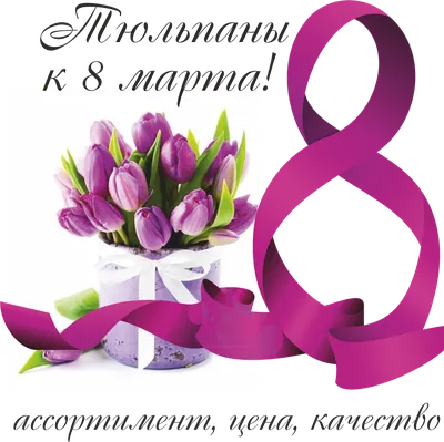 Тюльпаны высокого качества от производителя оптом к 8 марта: 300 тг. - Сад  / огород Шахтинск на Olx
