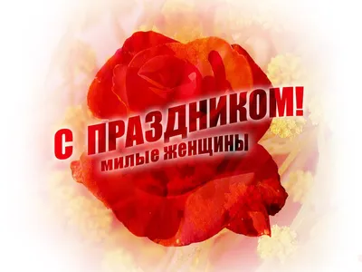 MosDecorator.ru - оформление на Международный Женский День (8 марта)