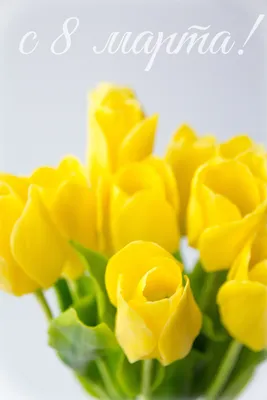 С 8 марта желтые тюльпаны фото